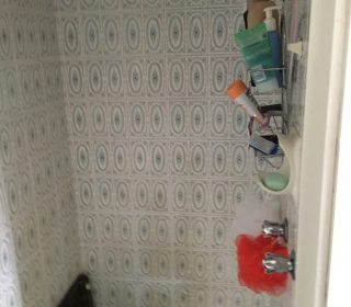 Shower Walls Removal